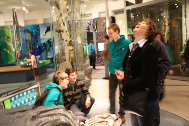 Natural history exhibit.