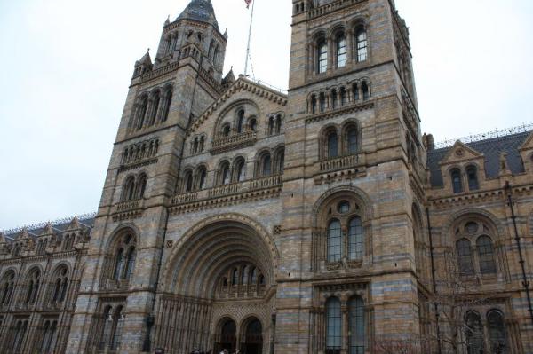 Natural History Museum.