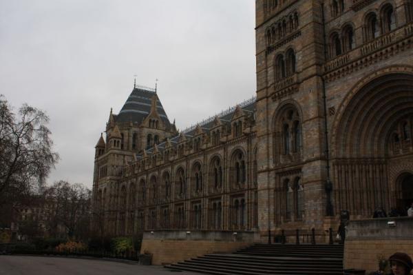 Natural History Museum.