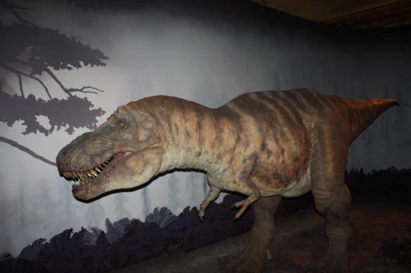 T-rex.