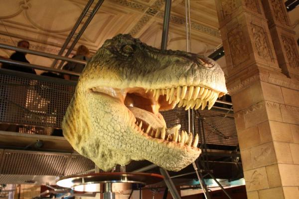 T-rex head.
