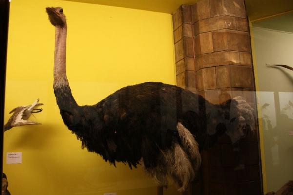 Birds gallery.
