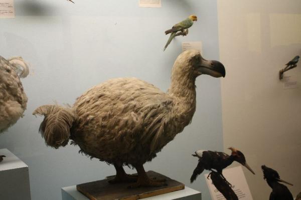 Birds gallery.